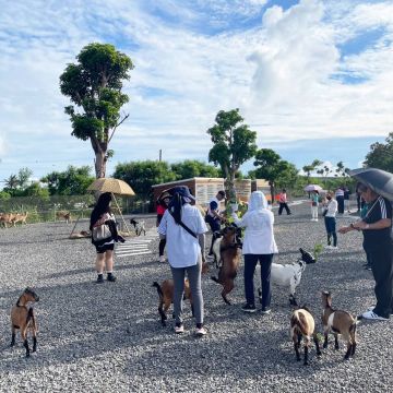 墾丁灰太狼教育園區 是採取放養式的餵養，裡面有親人可愛的動物，5-9月復育區還有許多獨角仙等著孩子們來體驗喔。特別是喜歡跟動物親近的朋友，來墾丁遊玩時，一定不要錯過 ! 