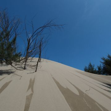 滿州飆沙30分鐘 以車計價 優惠價1100元 港仔高興滿意生態飆沙車隊