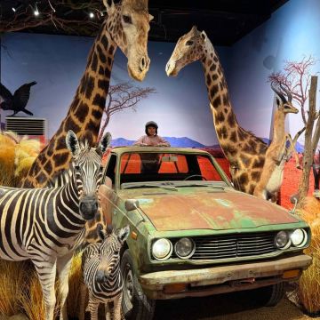 坐落於墾丁恆春鎮上的動物標本展覽館，讓您親身體驗與栩栩如生的寵物標本近距離拍攝，園內並提供許多的拍照打卡場景，讓您一秒就有如置身非洲原始叢林的感覺。