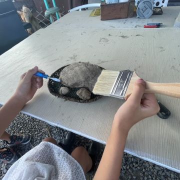 全台首創 古生物化石體驗課程就在墾丁灰太狼~ 簡單介紹化石的由來 實際操作尋找化石及清潔化石，挖掘到的化石能讓孩子帶回家  讓孩子收藏 千萬年前的生物化石噢，趕快讓孩子來墾丁體驗 不一樣的行程吧!