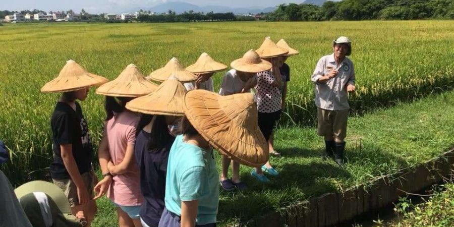 解說龍水為什麼適合農作和種植稻米