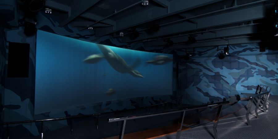 3D海洋爬行類劇場