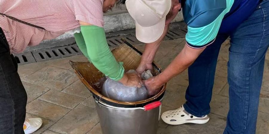 擠壓豆汁