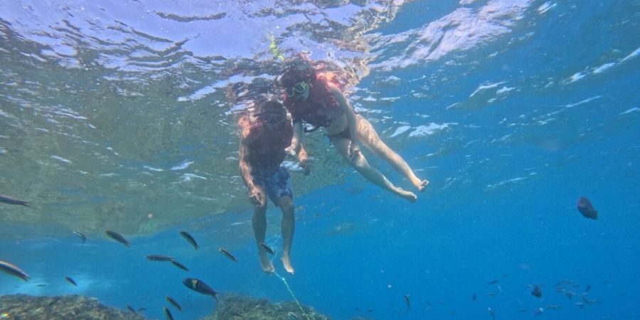 外海浮潛